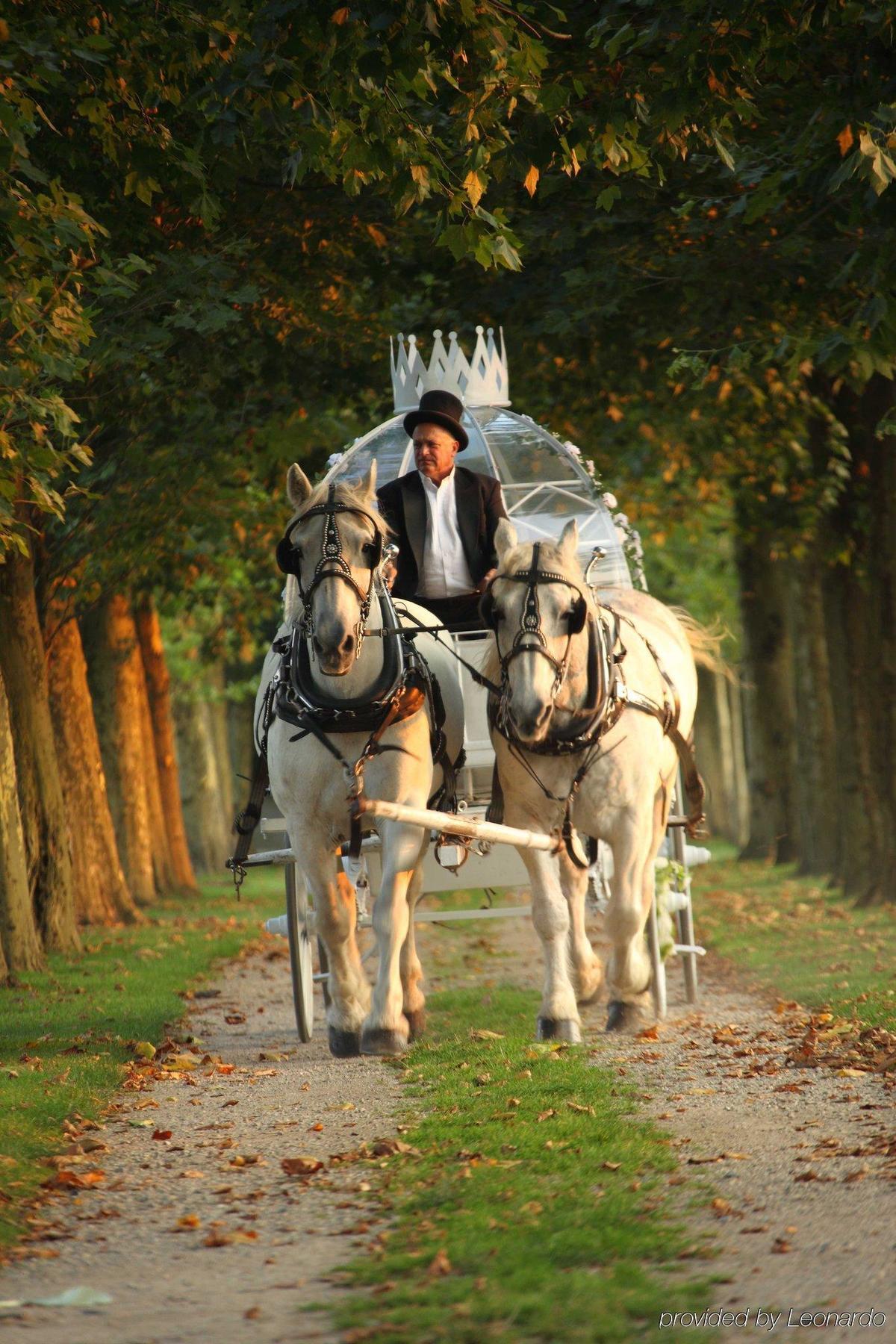 Oheka Castle Hotel & Estate هنتنغتون المظهر الخارجي الصورة
